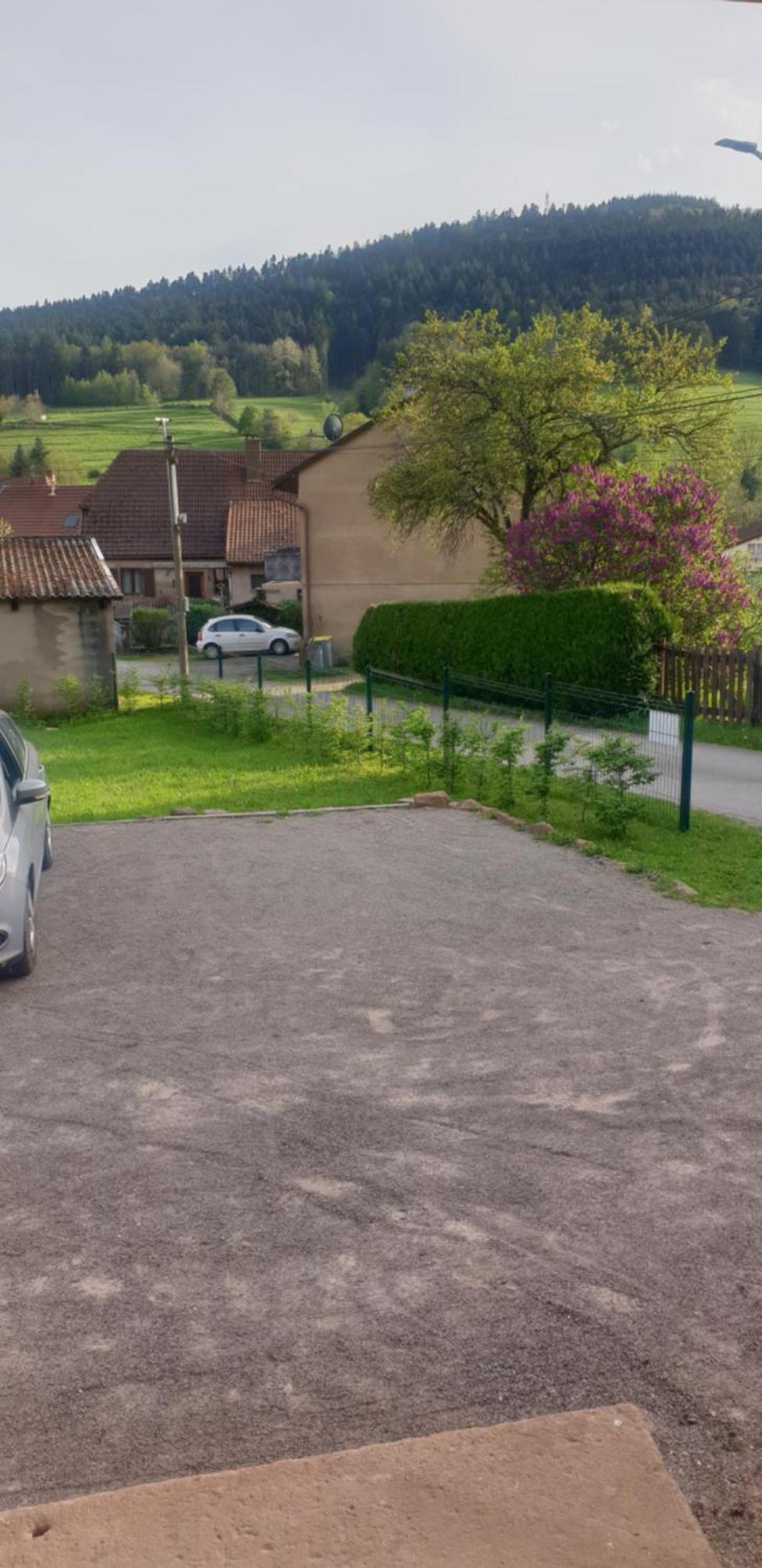 Ferienwohnung La Fermette Vosgienne De La Goutte Steige Exterior foto