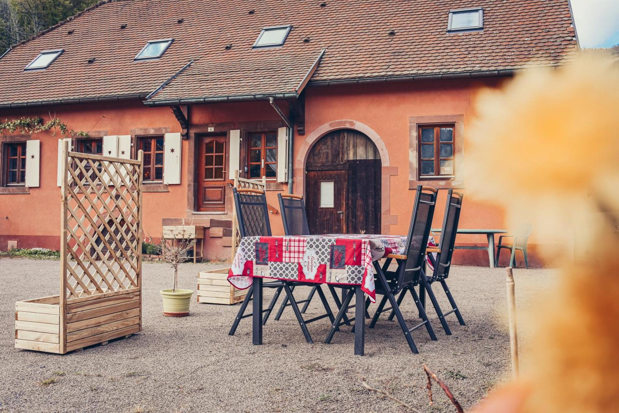 Ferienwohnung La Fermette Vosgienne De La Goutte Steige Exterior foto