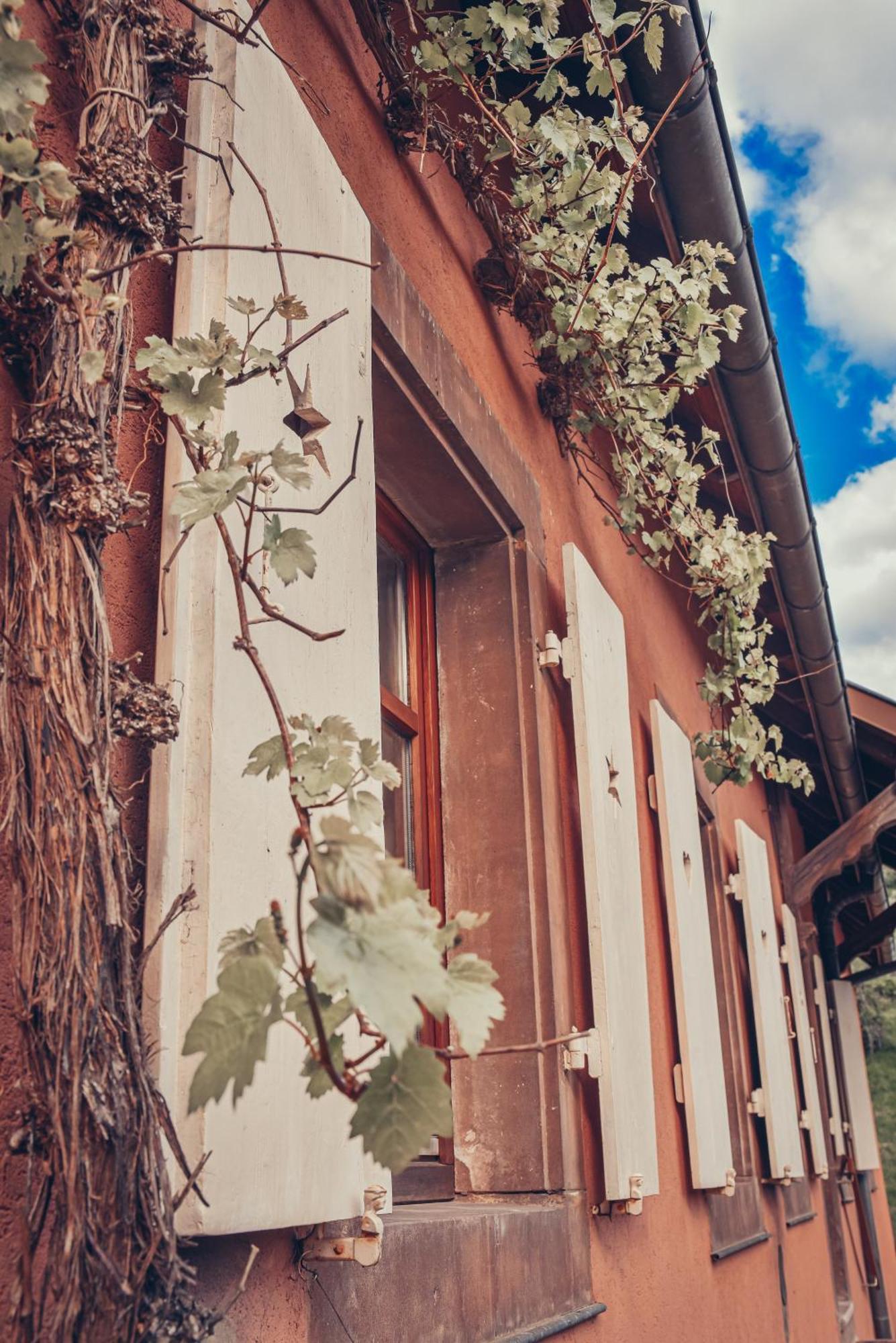 Ferienwohnung La Fermette Vosgienne De La Goutte Steige Exterior foto