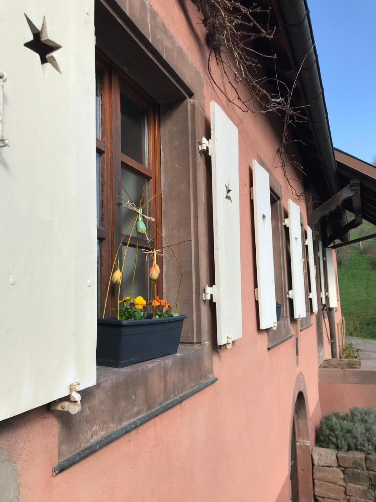 Ferienwohnung La Fermette Vosgienne De La Goutte Steige Exterior foto