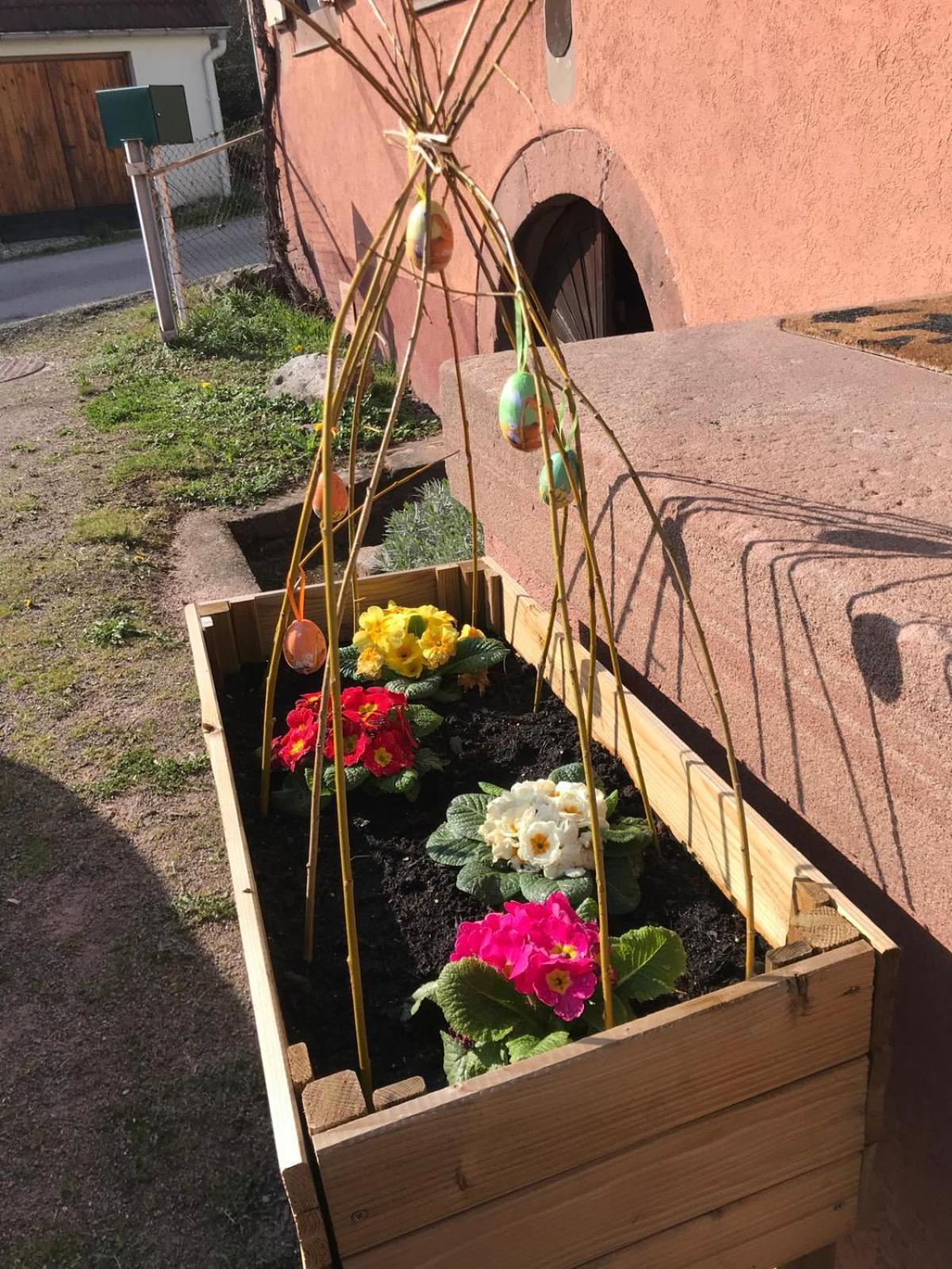 Ferienwohnung La Fermette Vosgienne De La Goutte Steige Exterior foto
